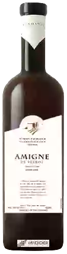 Wijnmakerij Romain Papilloud - Amigne de Vétroz Grand Cru