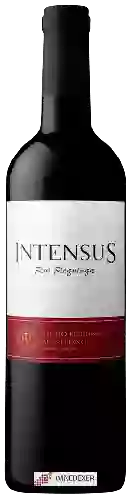 Wijnmakerij Rui Reguinga - Intensus