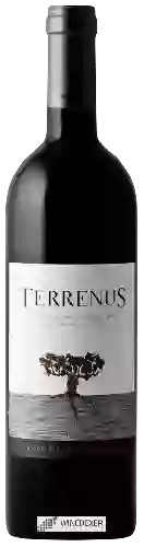 Wijnmakerij Rui Reguinga - Terrenus