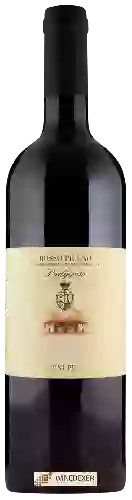Wijnmakerij Saladini Pilastri - Rosso Piceno Piediprato