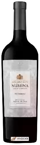 Wijnmakerij Salentein - Numina Petit Verdot