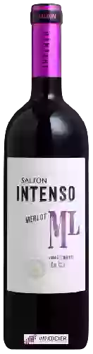 Wijnmakerij Salton - Intenso Merlot