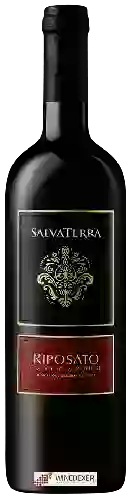 Wijnmakerij SalvaTerra - Riposato Corvina Veronese