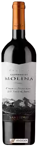 Wijnmakerij San Pedro - Castillo de Molina Cabernet Sauvignon (Reserva)