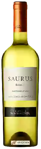 Wijnmakerij Schroeder - Saurus Select Sauvignon Blanc