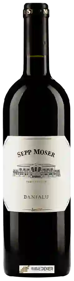 Wijnmakerij Sepp Moser - Banfalu