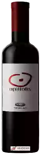 Domaine Sigalas - Apiliotis