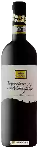 Wijnmakerij SIGNÆ - Sagrantino di Montefalco