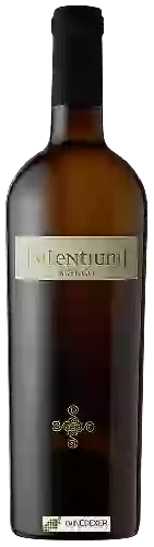 Wijnmakerij Silentium - Bianco