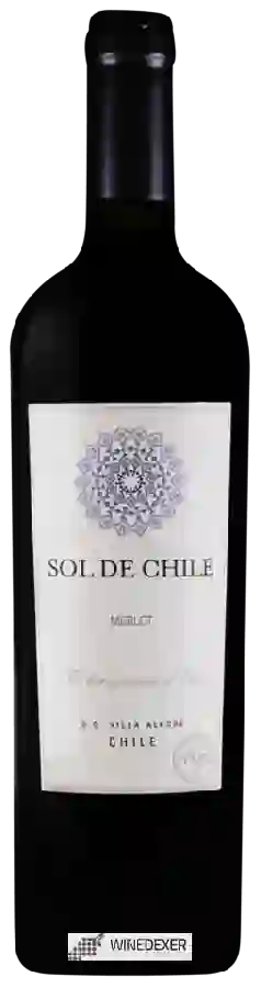 Wijnmakerij Sol de Chile - Merlot Wijnmakerij Sol de Chile - Merlot