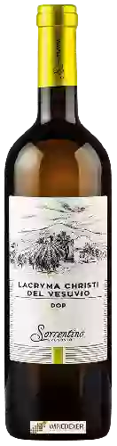 Wijnmakerij Sorrentino - Lacryma Christi del Vesuvio Bianco