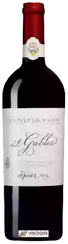 Wijnmakerij Spier - 21 Gables Cabernet Sauvignon