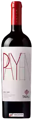 Wijnmakerij Tabali - Payen