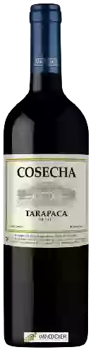 Wijnmakerij Tarapacá - Cosecha Merlot