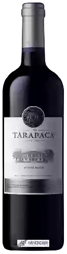 Wijnmakerij Tarapacá - Pinot Noir