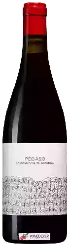 Wijnmakerij Telmo Rodriguez - Pegaso Barrancos de Pizarra
