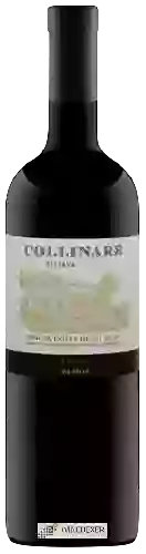 Wijnmakerij Tenuta Colle Degli Ulivi - Collinare Riserva Merlot