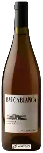 Wijnmakerij Tenuta Grillo - Baccabianca