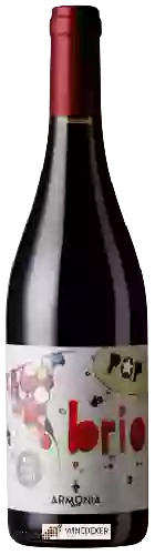 Wijnmakerij Tenuta l'Armonia - Brio Pop