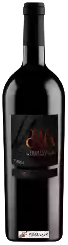 Wijnmakerij Tenute di Casalnuovo - Magma Primitivo di Manduria