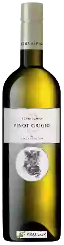 Wijnmakerij Terra Alpina - Pinot Grigio