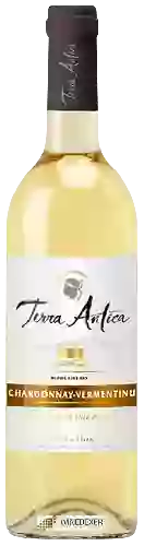Wijnmakerij Terra Antica - Sélection Chardonnay - Vermentinu