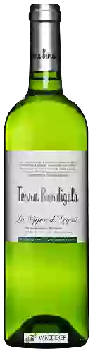 Wijnmakerij Terra Burdigala - La Vigne d'Argent