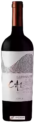 Wijnmakerij TerraNoble - CA1 Andes Carmenère