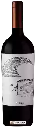 Wijnmakerij TerraNoble - CA2 Costa Carmenère