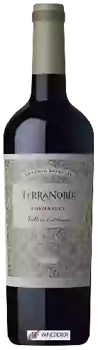 Wijnmakerij TerraNoble - Reserva Especial Carménère