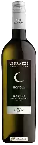 Wijnmakerij Terrazze della Luna - Nosiola