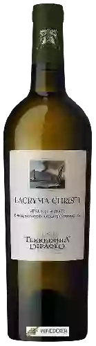 Wijnmakerij Terredora - Vesuvio Lacryma Christi Bianco