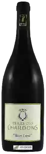 Wijnmakerij Terre des Chardons - Bien Luné