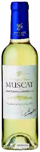 Wijnmakerij The Exquisite Collection - Muscat de Saint-Jean de Minervois