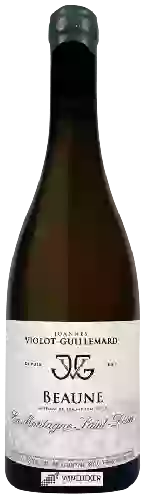 Wijnmakerij Thierry Violot-Guillemard - Bourgogne Beaune En Montagne Saint-Désiré