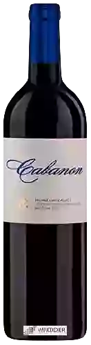 Wijnmakerij Thunevin-Calvet - Cabanon Côtes du Roussillon Villages