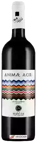 Wijnmakerij Tor de' Falchi - Animae Agri Aglianico
