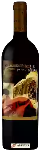 Wijnmakerij Tridente - Prieto Picudo