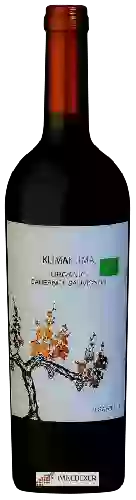 Wijnmakerij Tsantali - Klima Klima Organic Cabernet Sauvignon