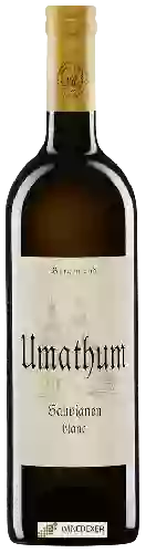 Wijnmakerij Umathum - Sauvignon Blanc