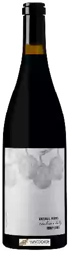 Wijnmakerij Anthill Farms - Anderson Valley Pinot Noir
