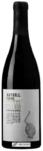 Wijnmakerij Anthill Farms - Comptche Ridge Vineyard Pinot Noir