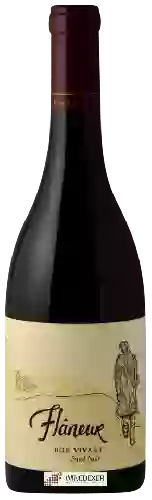 Wijnmakerij Flâneur - Bon Vivant Pinot Noir