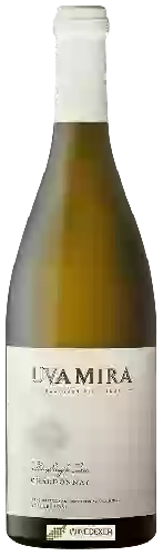 Wijnmakerij Uva Mira Mountain Vineyards - The Single Tree Chardonnay