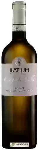 Wijnmakerij Latium Morini - Campo le Calle Soave