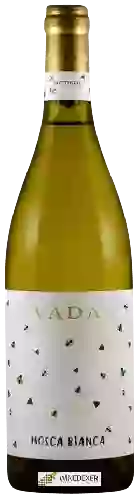 Wijnmakerij Vada - Mosca Bianca