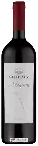 Wijnmakerij Valdemiz - Arinarnoa
