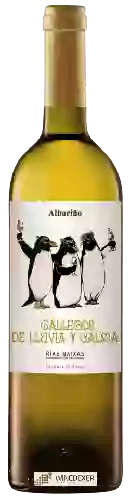 Wijnmakerij Adega Valdes - Gallegos de Lluvia y Calma Albariño