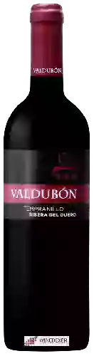 Wijnmakerij Valdubon - Ribera del Duero