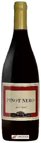 Wijnmakerij Vallarom - Vigneto Ventrat Pinot Nero